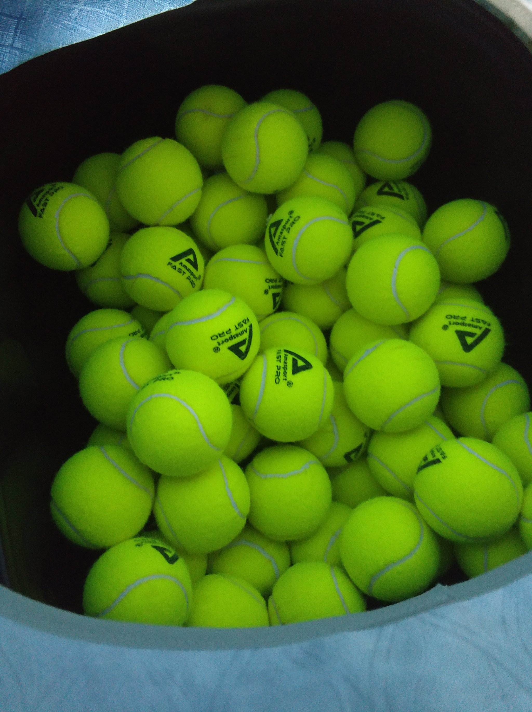 盖利和克里 盖利和克里